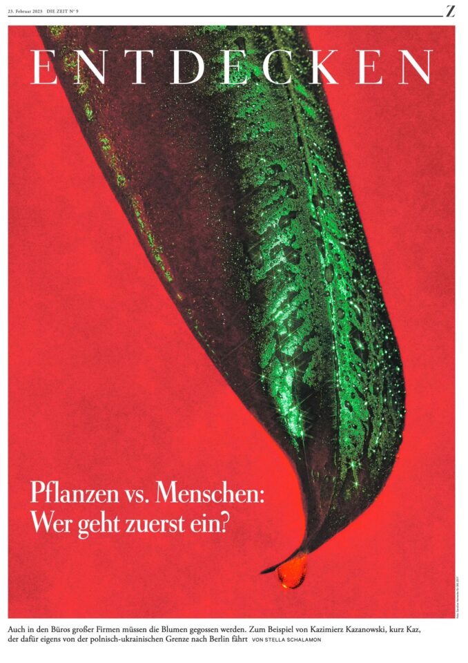 © by Caroline Heinecke